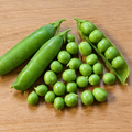 Early Alaska, Pea Seed