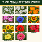 Easy Care Children Garden Flower Variety Chart