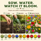 Easy Care Flowers