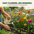 Easy Care Wildflower Seeds