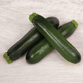 Ebano, (F1) Squash Seeds