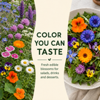 Edible Flower Garden