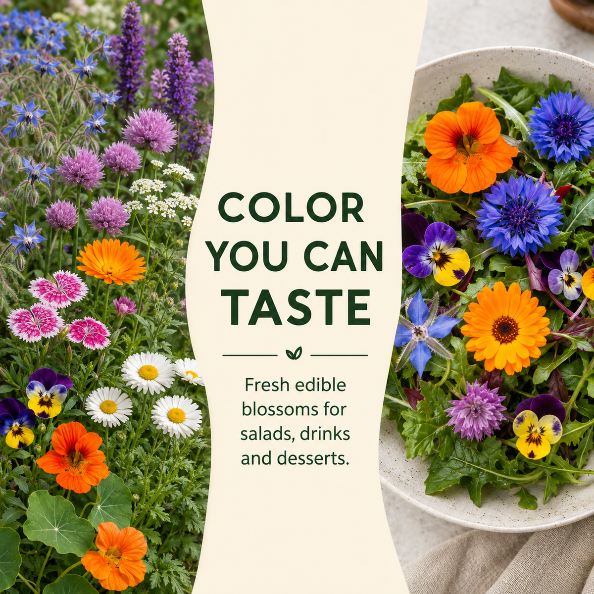 Edible Flower Garden
