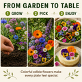 Edible Flower Seeds