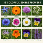 Edible Wildflower Flower Variety Chart