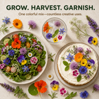 Edible Wildflower Seed Mix