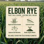 Elbon Rye cover crop benefits
