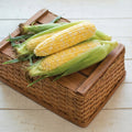 Essence, (F1) Corn Seed