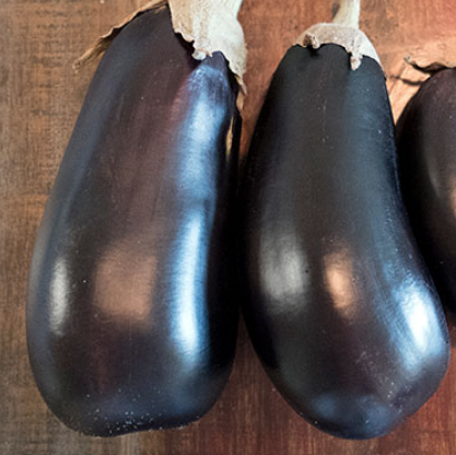 Florida Market High Bush, Eggplant Seeds