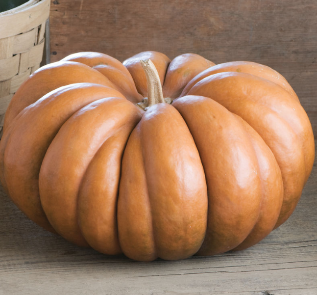 Fairytale, Pumpkin Seeds