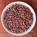 Flor De Junio, Bean Seeds