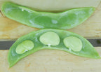 Fordhook 242, Bean Seeds
