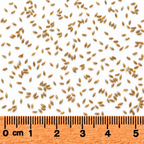 Fowl Manna Grass, Ornamental Grass Seed
