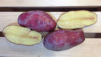 French Fingerling, Seed Potatoes