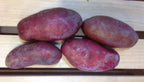 French Fingerling, Seed Potatoes