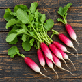 French Breakfast, Radish Seeds
