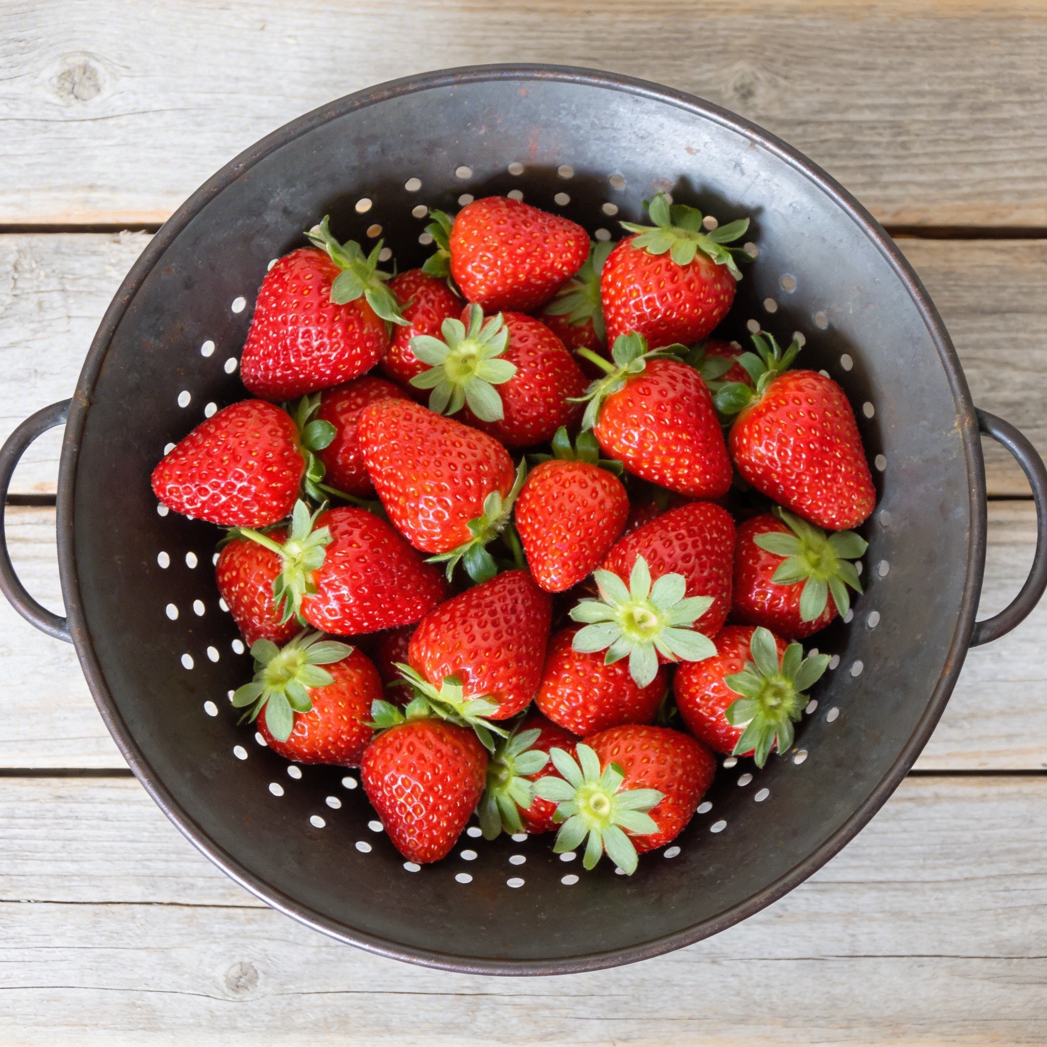 Fresca, Strawberry Seeds
