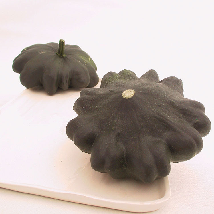 G Star, Organic (F1) Patty Pan Squash Seed