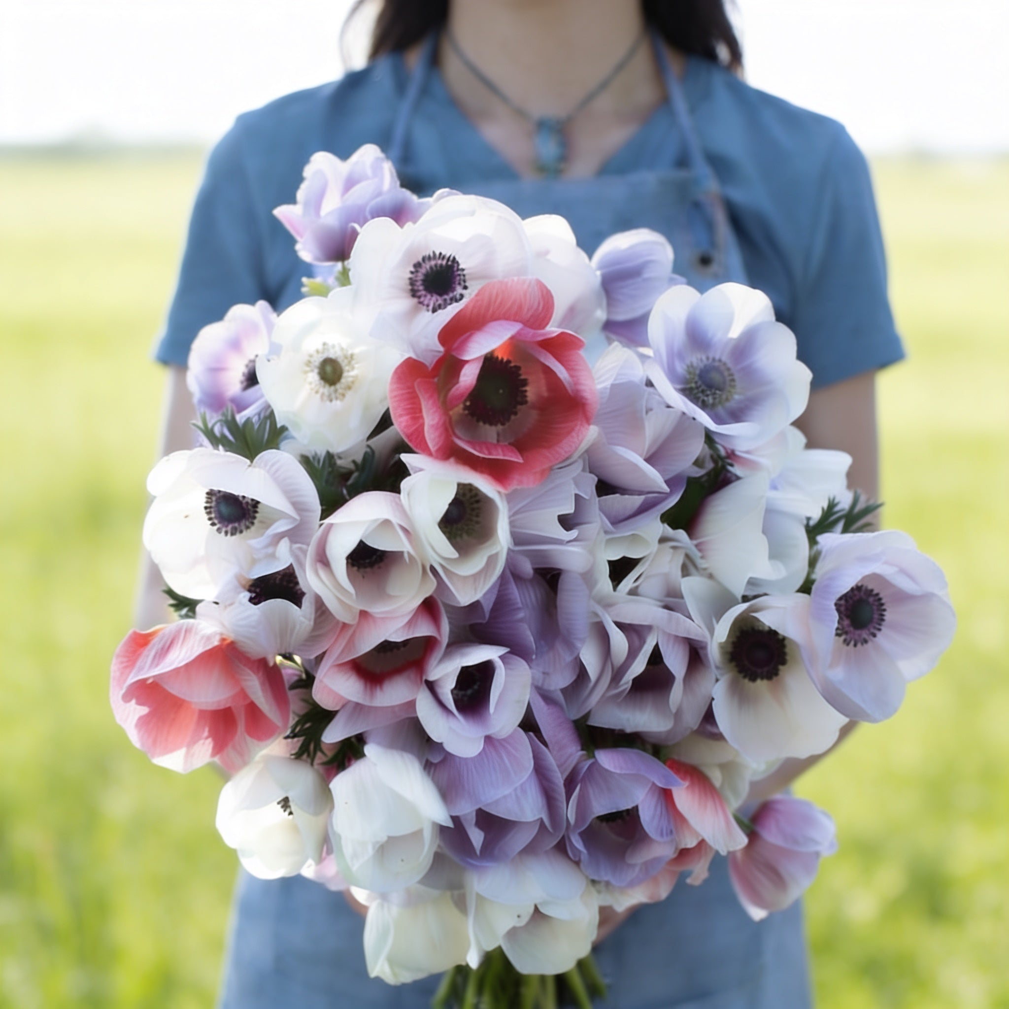 Galilee Pastel Mix, Anemone