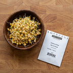 Garbanzo, Bean Seeds