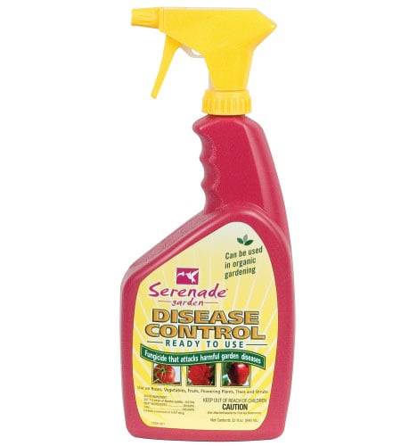 Garden Disease Control Spray, Pest and Disease
