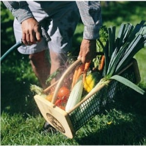 Garden Hod, Garden Gifts