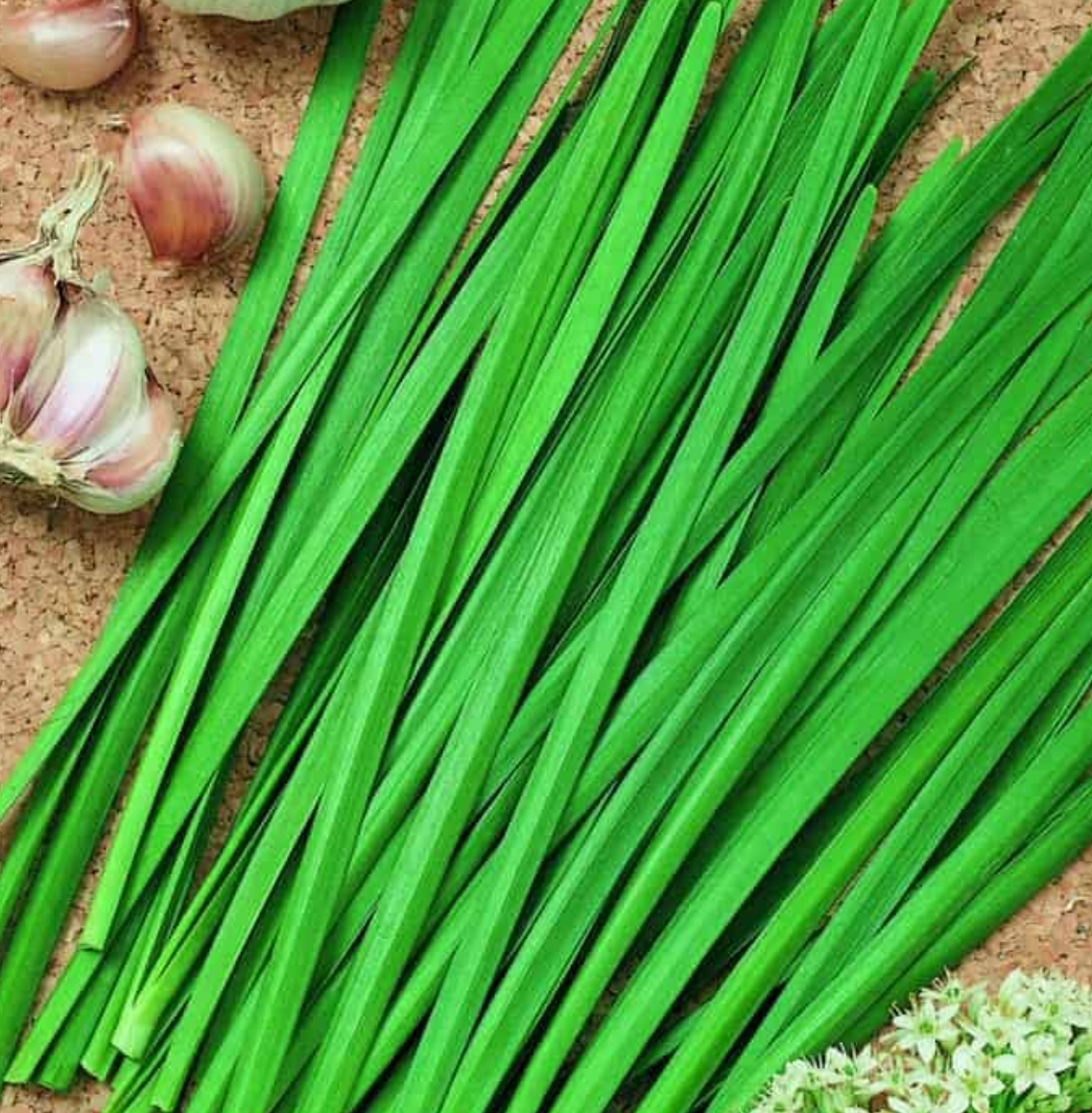 Garlic Geisha, Chive Seeds