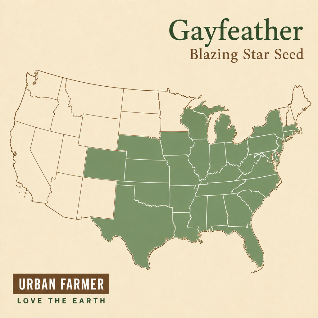 Gayfeather Blazing Star native range