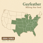 Gayfeather Blazing Star native range