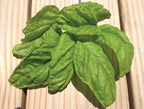 Lettuce Leaf, Basil Seeds