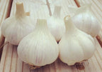 German White, Garlic Bulbs
