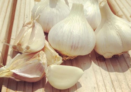 German White, Garlic Bulbs