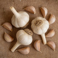 German Extra Hardy, Garlic Bulbs