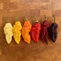 Ghost Mix, Pepper Seeds