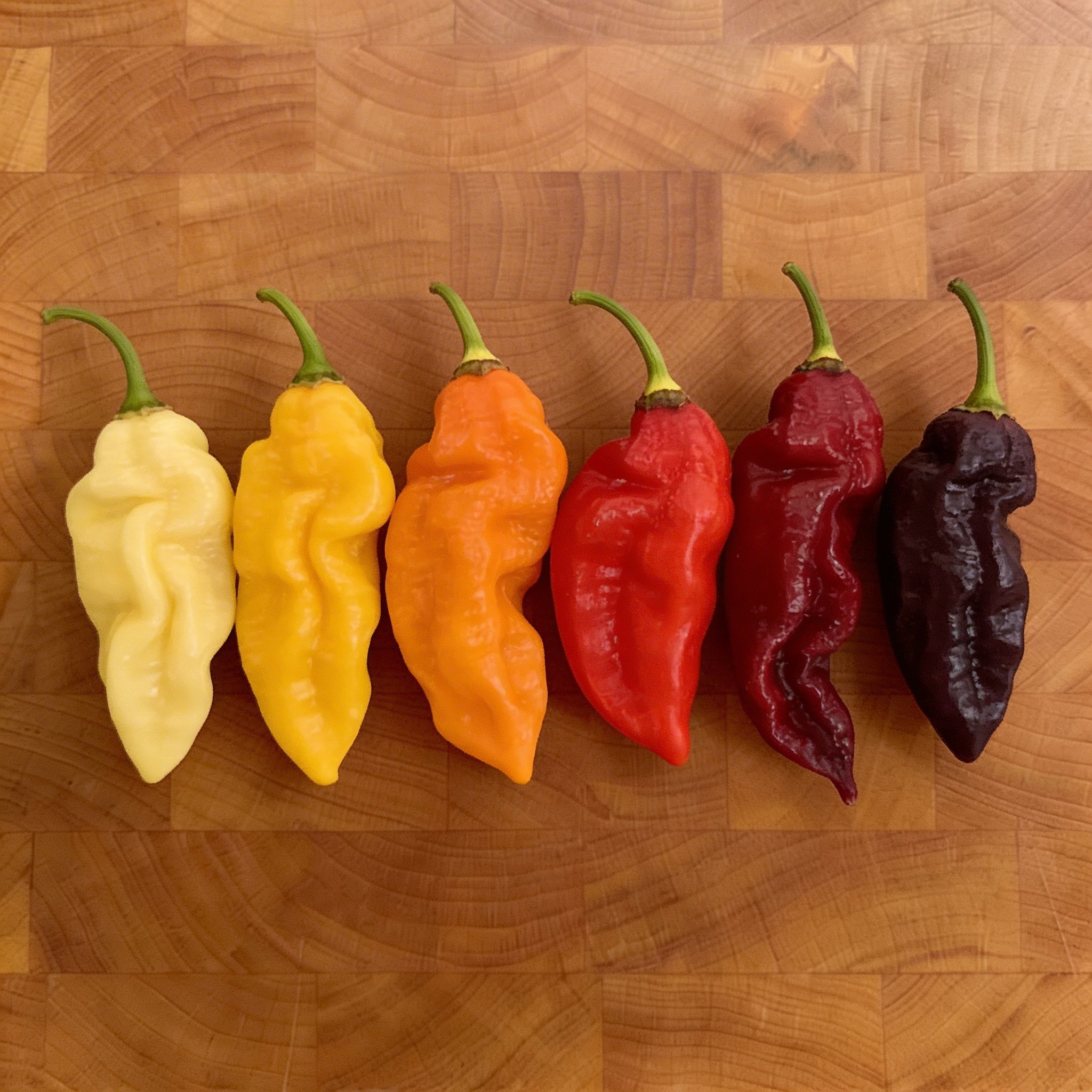 Ghost Mix, Pepper Seeds