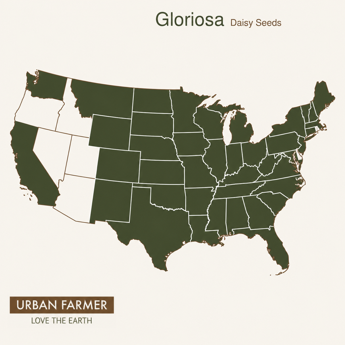 Gloriosa Daisy native range