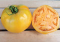 Golden Jubilee, Tomato Seeds
