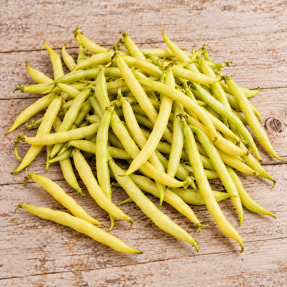 Golden Wax, Bean Seed
