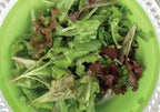 Gourmet Mesclun Blend, Lettuce Seeds