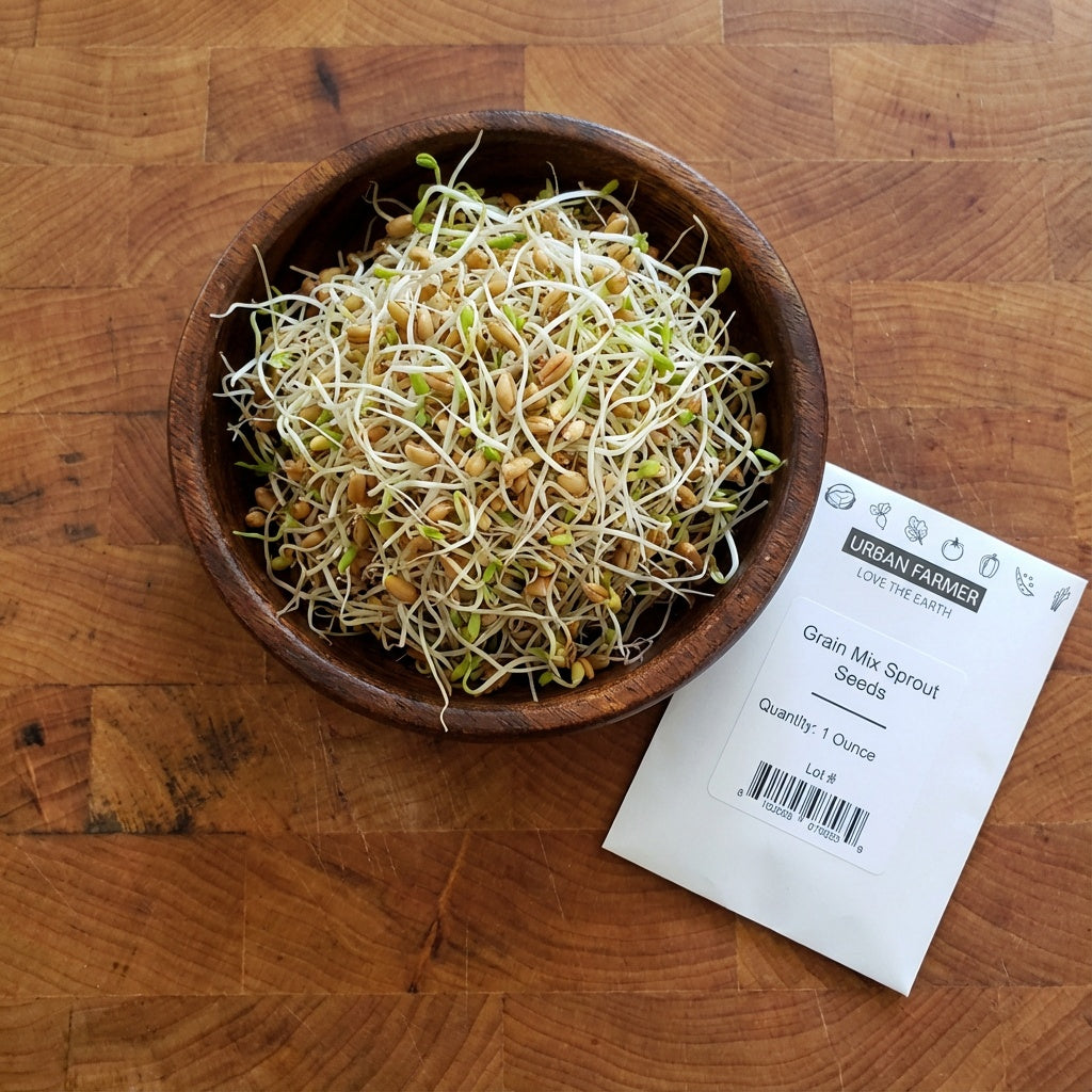 Grain Mix, Sprout Seeds