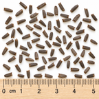 Great Coneflower, Rudbeckia Seed