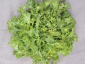 Green Curled Ruffec Endive, Chicory