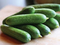 Green Finger, (F1) Cucumber Seeds