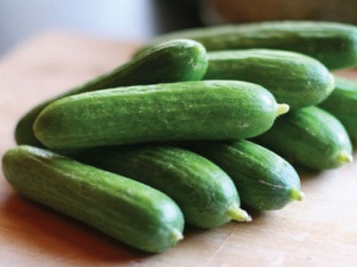 Green Finger, (F1) Cucumber Seeds