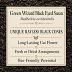 Green Wizard, Black-Eyed Susan Seed
