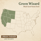 Green Wizard, Black-Eyed Susan Seed