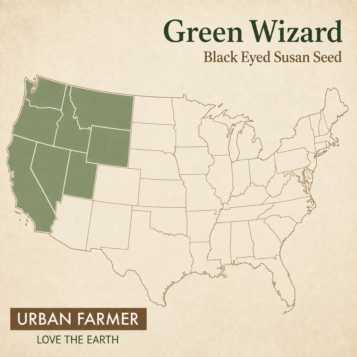 Green Wizard, Black-Eyed Susan Seed