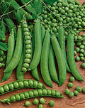 Green Arrow, Pea Seeds