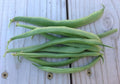 Greencrop, Bean Seeds