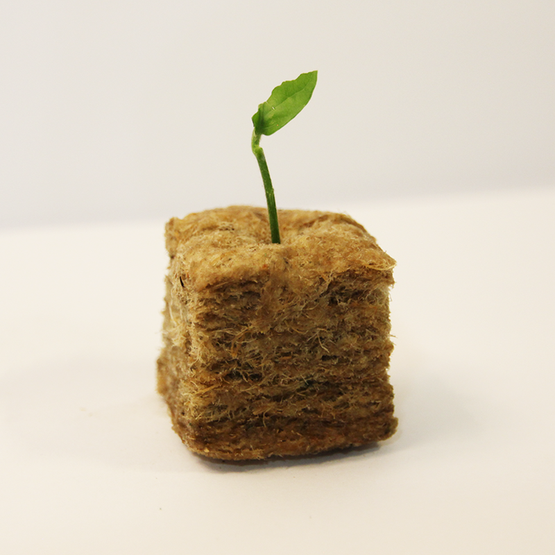 2" Grow Cubes